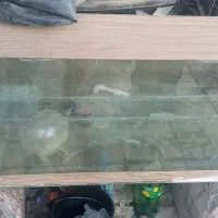اکواریوم سایز بزرگ