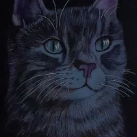 نقاشی رنگ روغن و سیاه قلم|تابلو، نقاشی، عکس|ارومیه, |دیوار