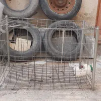 حیوانات|لوازم جانبی حیوانات|تاکستان, |دیوار