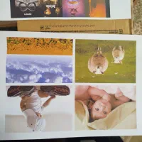 دستگاه پرینتر رنگی EPSON|پرینتر، اسکنر، کپی، فکس|حمیدیا, |دیوار