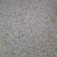 برنج کامفیروزی اصل|خوردنی و آشامیدنی|شیراز, فرگاز|دیوار