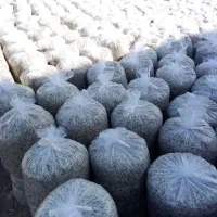 تفاله چغندر|عمده‌فروشی|چهاربرج, |دیوار