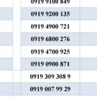 0919 رند