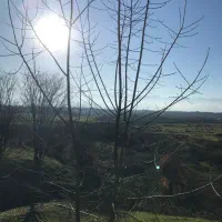 700متر-زمین-با-کاربری-مسکونی