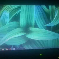 لپتاپ لنووا thinkpad