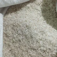 برنج فجر۲۵۰هزارتومان