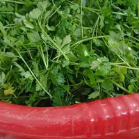 سفارش سبزی به صورت کلی، ویژه رستوران و سوپرمارکت|خوردنی و آشامیدنی|سبزوار, مدرس|دیوار