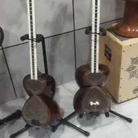 تار به همراه هاردکیس رایگان