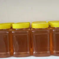 عسل طبیعی|خوردنی و آشامیدنی|تهران, یوسف‌آباد|دیوار