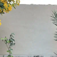 پلاسترکار نمونه|خدمات پیشه و مهارت|شوشتر, |دیوار