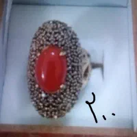 انواع بدلیجات|بدلیجات|نیشابور, دارایی|دیوار