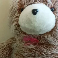 خرس خیلی بزرگ هدیه ولنتاین بوده