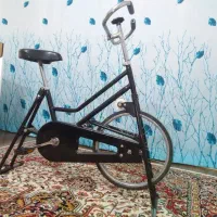 دوچرخه ثابت ورزشی