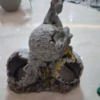 لوازم اکواریوم|ماهی|رشت, جهاد|دیوار