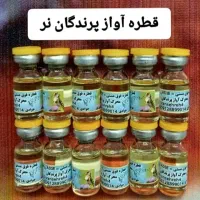 سهره مست کن