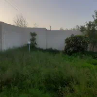 فروش خانه ویلایی ۵۴۵ متری ۲ خوابه در حومه رشت|فروش خانه و ویلا|رشت, حومه رشت|دیوار