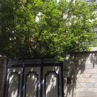 سه طبقه ساختمان مستقل مهرآباد جنوبی