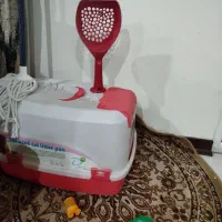 گربه با اصالت|گربه|اهواز, کوی ایثار|دیوار