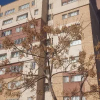 جستجوی منزل مسکونی