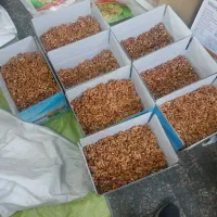 مغز گردو بلغاری درجه یک