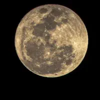 پتینه طرح برجسته و نقاشی|خدمات پیشه و مهارت|کوهدشت, |دیوار