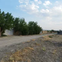 گاوداری با پروانه 100راسی گوشتی