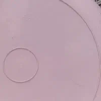 بلیت و ا م دارم