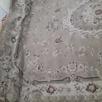 فرش ۱۲ متری|فرش|مشهد, شفا|دیوار