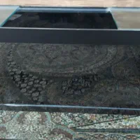 آکواریوم شیشه خم و ماهی کوی|ماهی|قم, بنیاد|دیوار