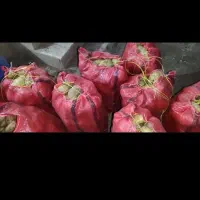 سیب زمینی جلی|خوردنی و آشامیدنی|زاغه, |دیوار