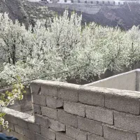 فروش-زمین