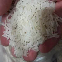 برنج صدری دم سیاه