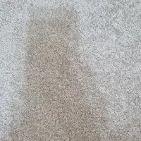 فروش   پالاز موکت