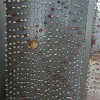 پرده تمام صدف