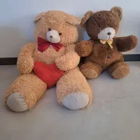 ۲عدد خرس بزرگ نوی نو