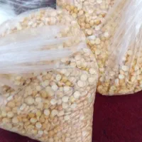 باسلام حبوبات قیمت  مناسب|خوردنی و آشامیدنی|اسلام‌شهر, شهرک لاله|دیوار