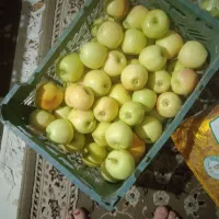 سیب پادنا ارگانیک|خوردنی و آشامیدنی|شیراز, شهرک فرزانگان|دیوار