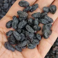 کشمش ومویز