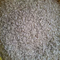 برنج عنبربو|خوردنی و آشامیدنی|دهلران, |دیوار