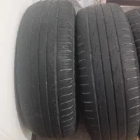 لاستیک بارز و گلدستون