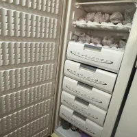 یخچال فریز دوقلو ارج|یخچال و فریزر|تربت جام, پاسداران|دیوار