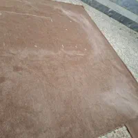 موکت پالاز