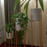 انواع استند گل|گل و گیاه طبیعی|بیرجند, |دیوار