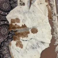 پوست طبیعی|پادری|محمودآباد, |دیوار