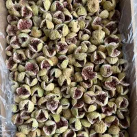 انجیر پرک درجه ۱