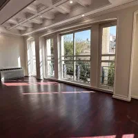 کامرانیه شمالی۲۲۰متر لحظه آخری ۵۵میلیارد فقط امروز|فروش آپارتمان|تهران, کامرانیه|دیوار