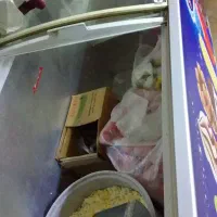 وسایل ساندویچی|فروشگاه و مغازه|بهارستان, |دیوار