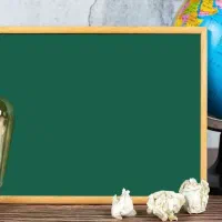 تدریس زبان انگلیسی/عکاسی/تولید محتوا