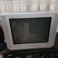 تلویزیون