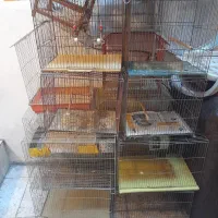 قفس  بزرگ وکوچک  در حد نوع|لوازم جانبی حیوانات|لنگرود, |دیوار